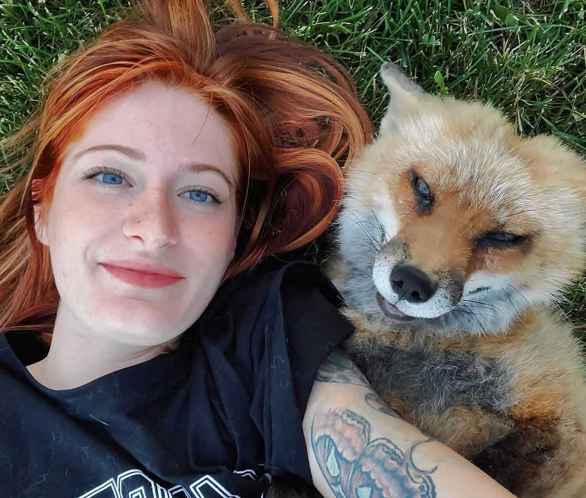Save a Fox Rescue