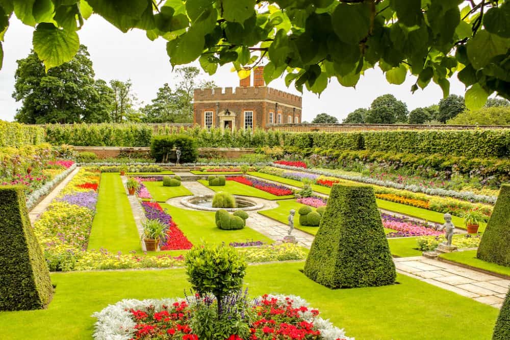Summer at Hampton Court gardens
