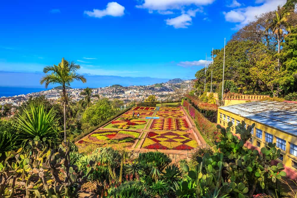 Funchal Gardens - beautiful Madeira