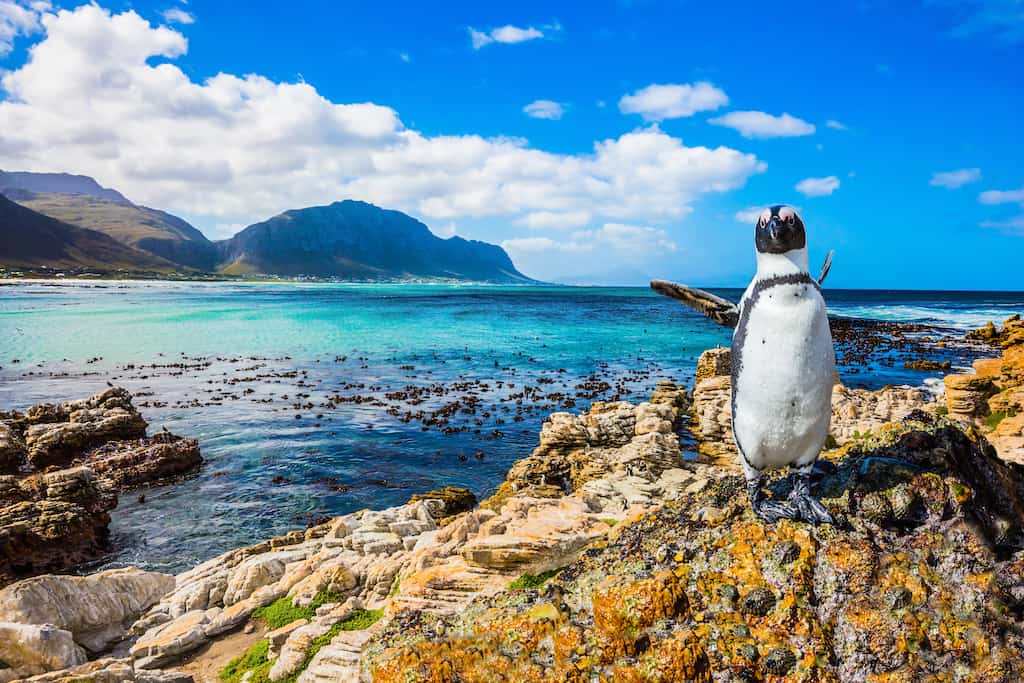 The most beautiful places to visit in South Africa