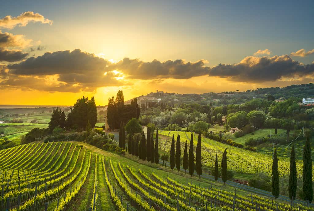 tuscany vineyards to visit