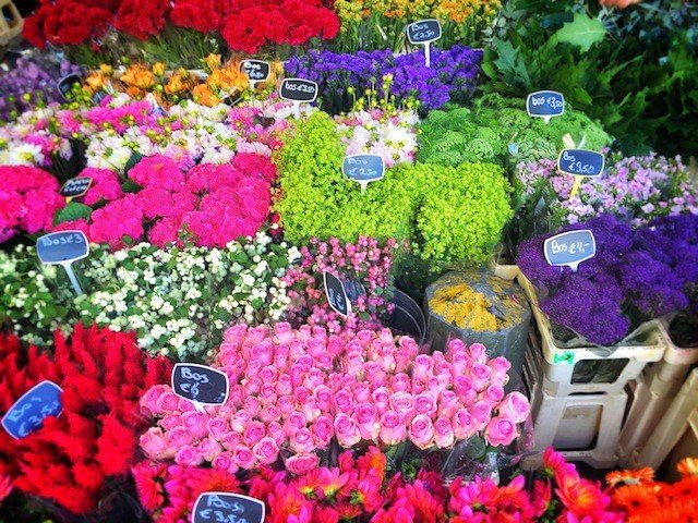 Flower Market Utrecht