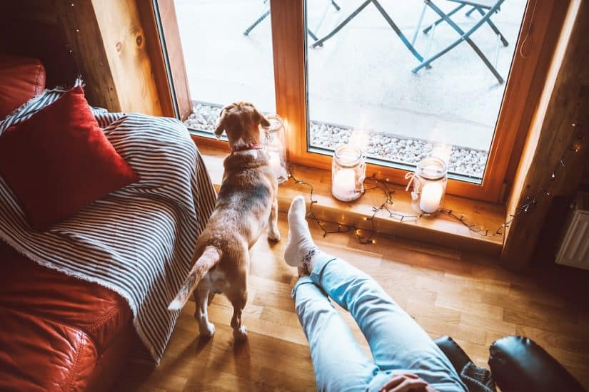 Top 15 Dog friendly hotels in Cotswolds