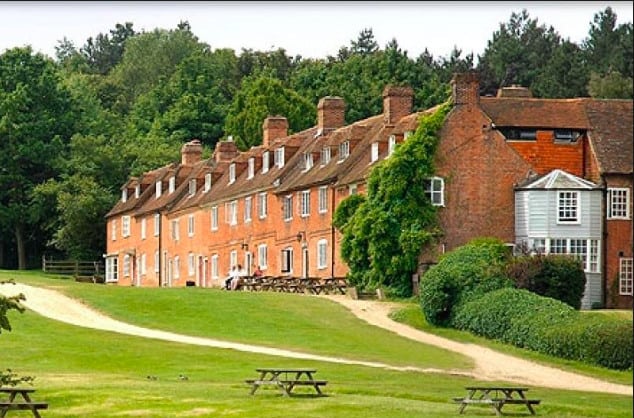 Top 15 dog friendly hotels in the New Forest 2020