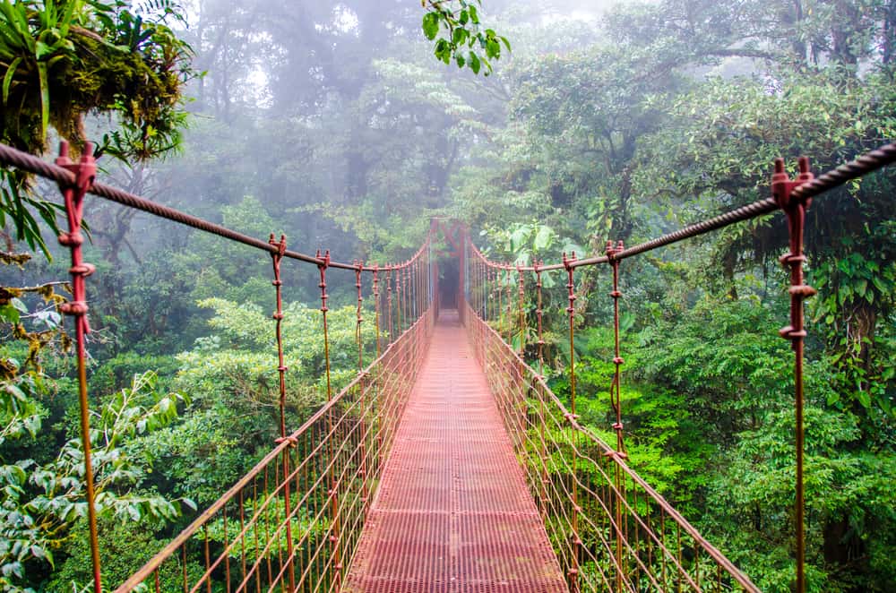 Monteverde Cloud Forest bridge Costa Rica