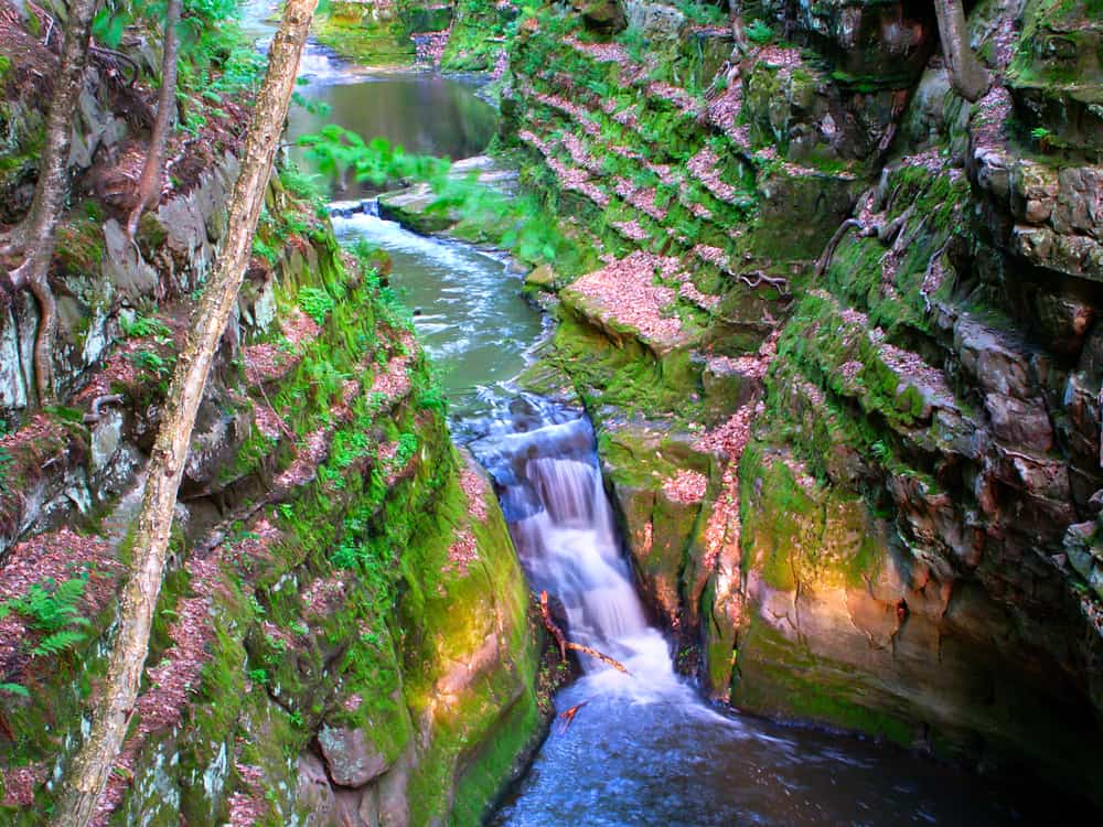 Pewits Nest State Natural Area