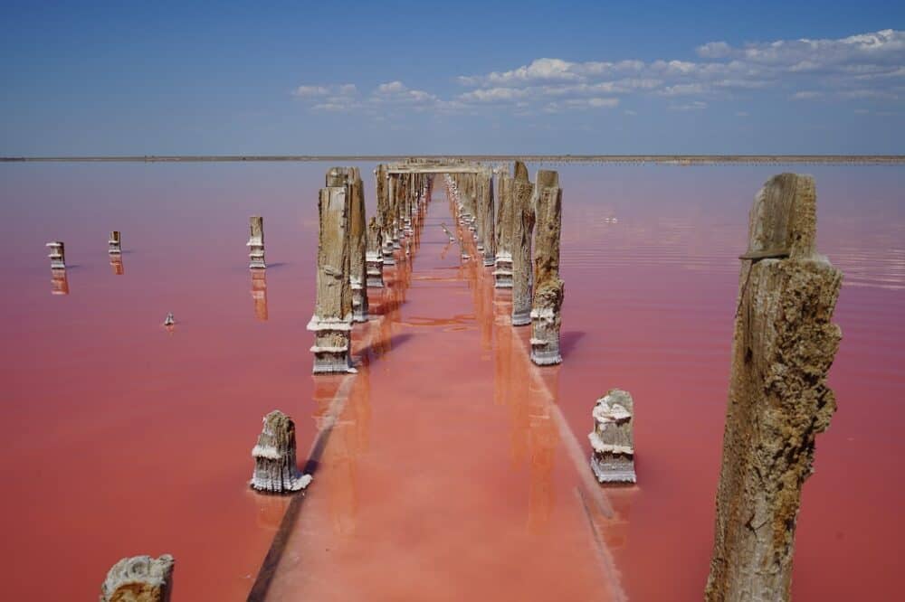 Pink Lake- Ukraine