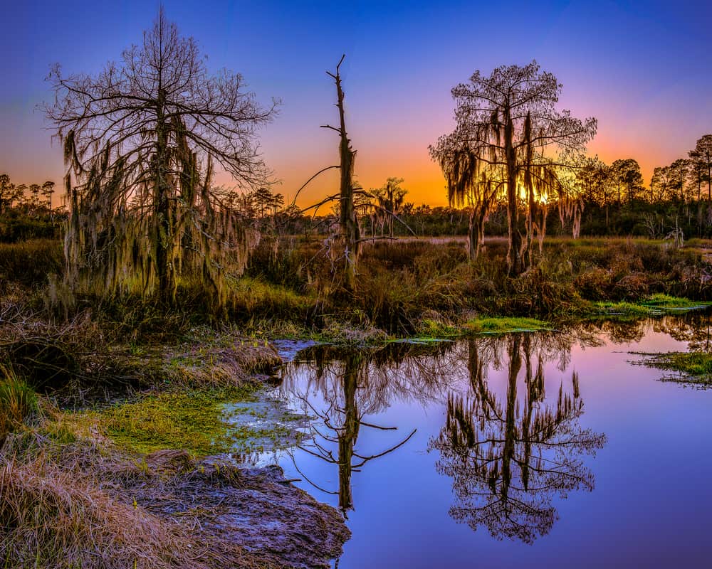 Bayou Country, Louisiana
