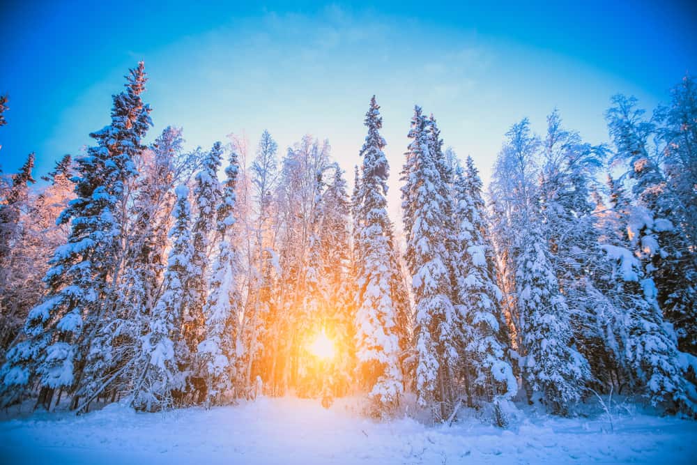 Fairbanks, Alaska in the winter