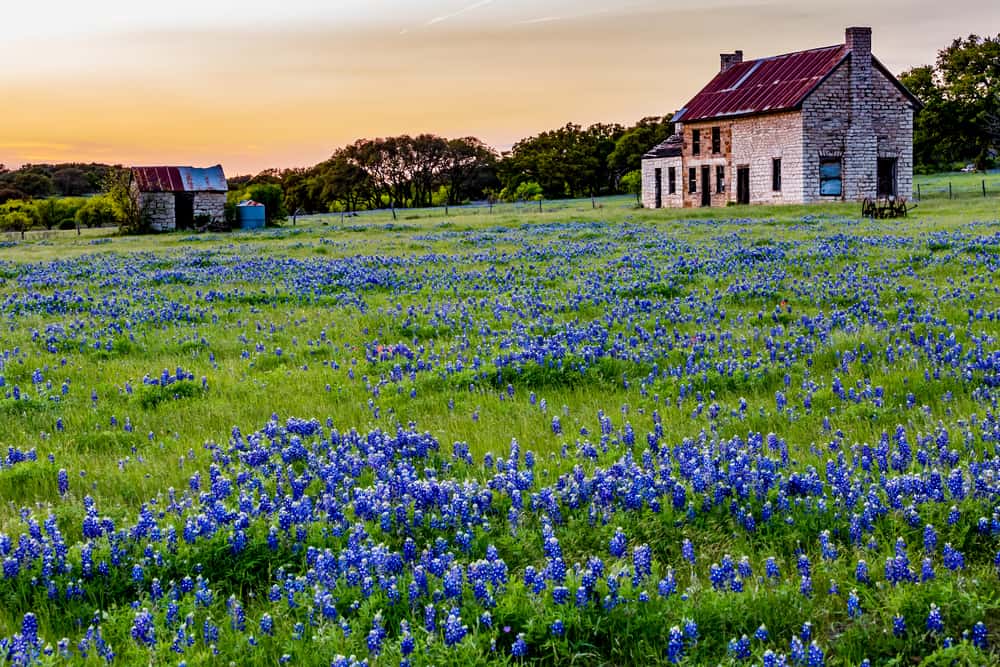 Texas Hill Country Photo