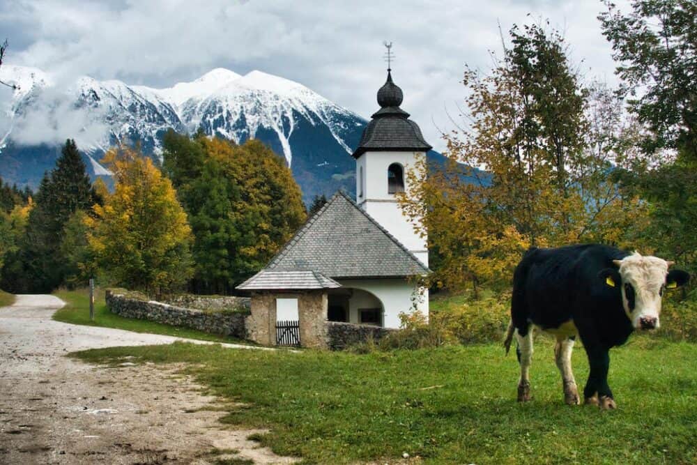 12 of the most beautiful places to visit in Slovenia