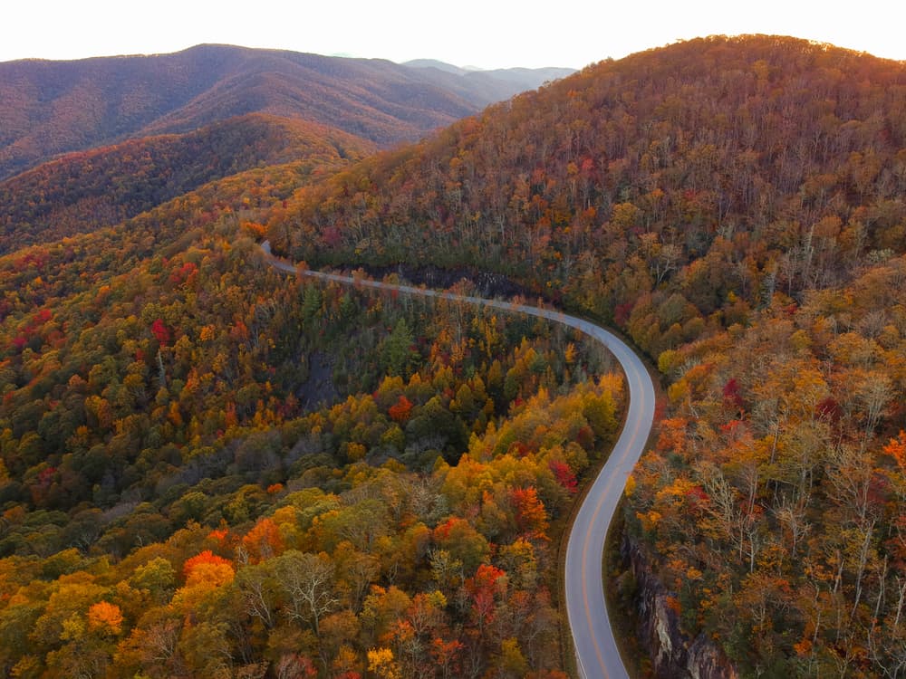 Fall in Asheville USA