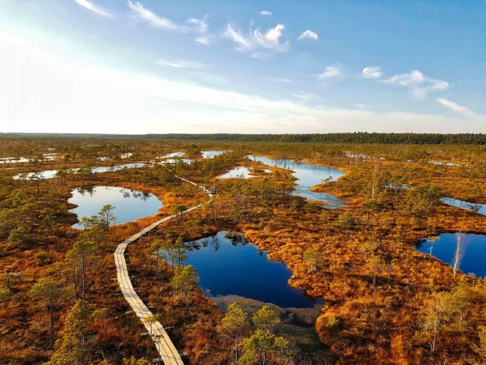 Great Kemeri Bog Latvia