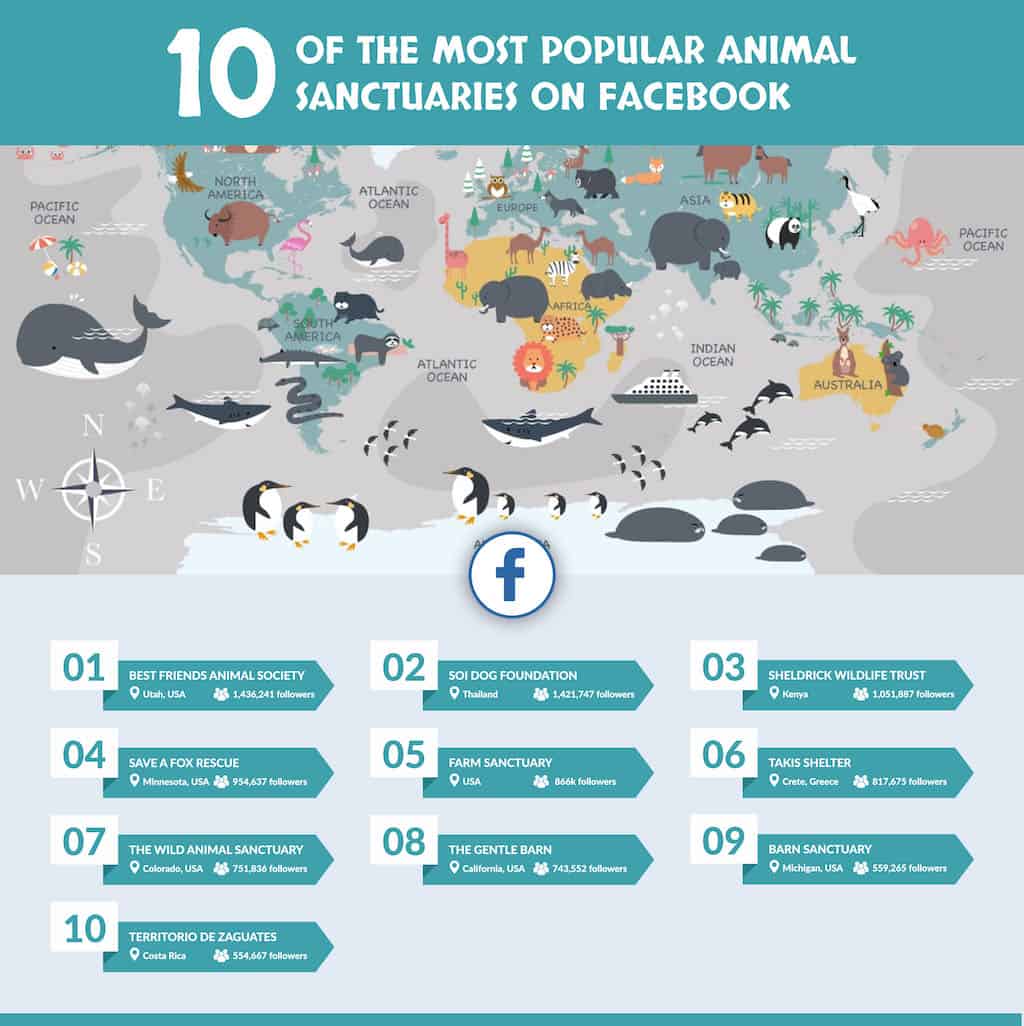 Popular Animal Sanctuaries on Facebook