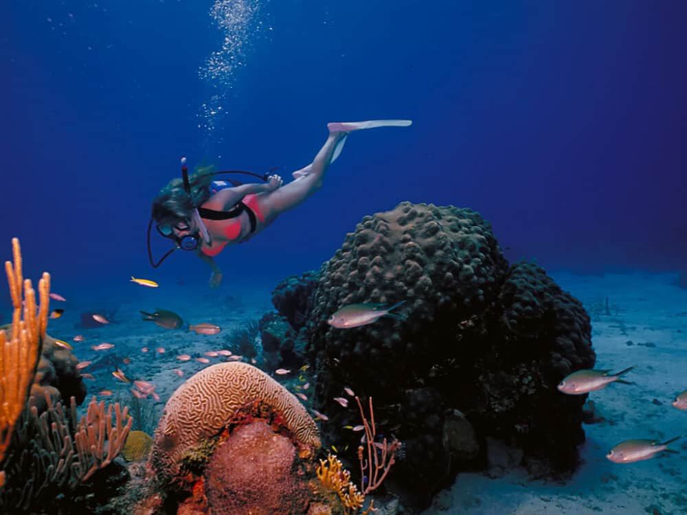 St. Croix - Scuba Diving