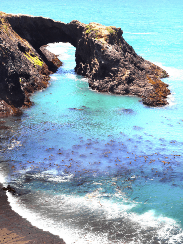 Top 15 Awesome Things To Do In Mendocino