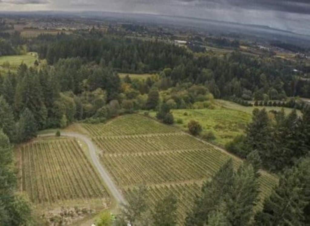 Abbey Creek Vineyard - Oregon