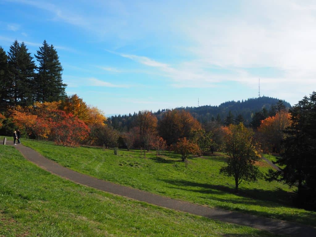 Hoyt Arboretum - Portland