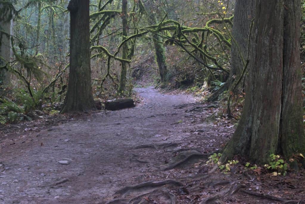 Lower Macleay Park Trailhead - Oregon