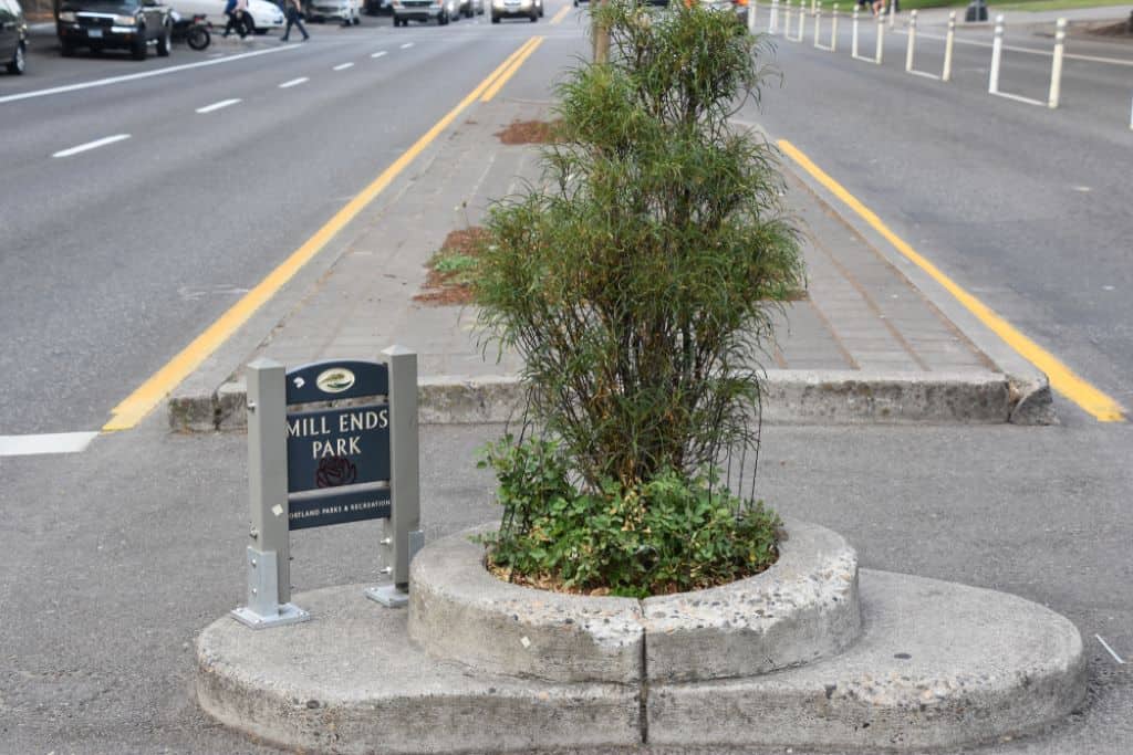 Mill Ends Park - smallest park in the world - Portland