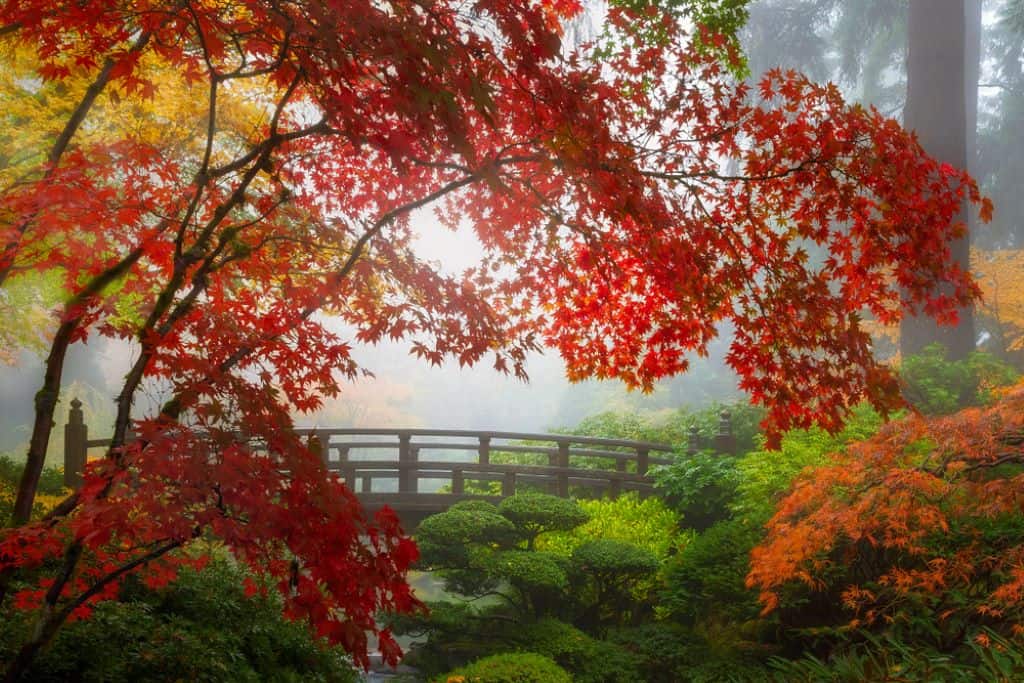 Portland Japanese Garden - Portland - Oregon