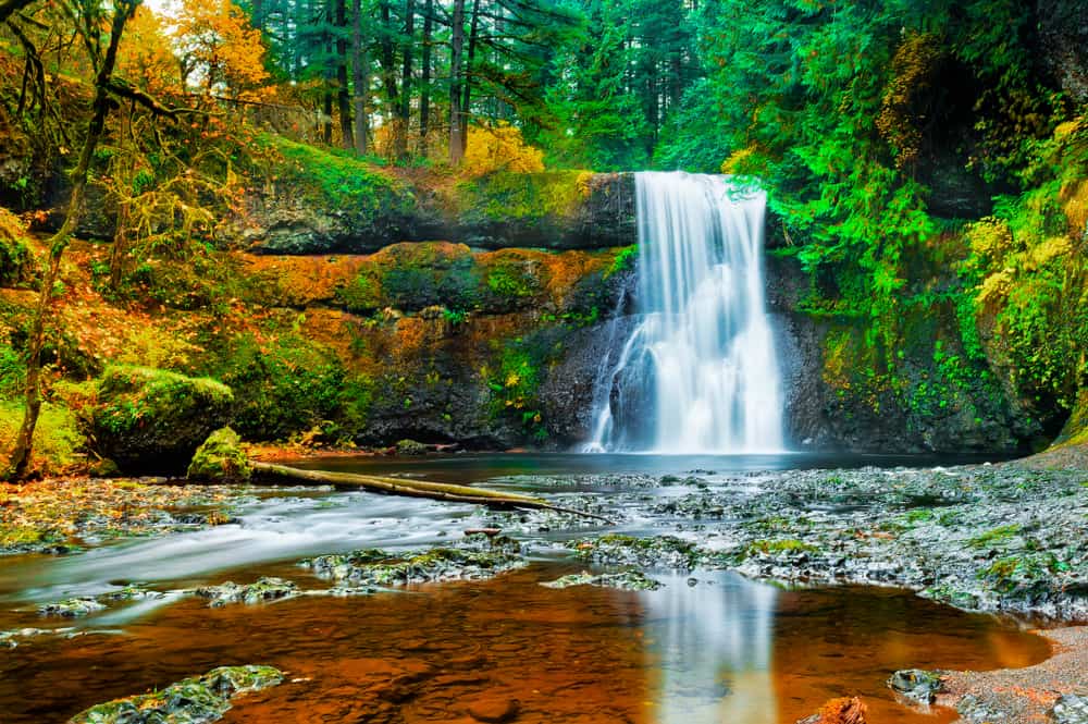 Silver Falls State Park Oregon
