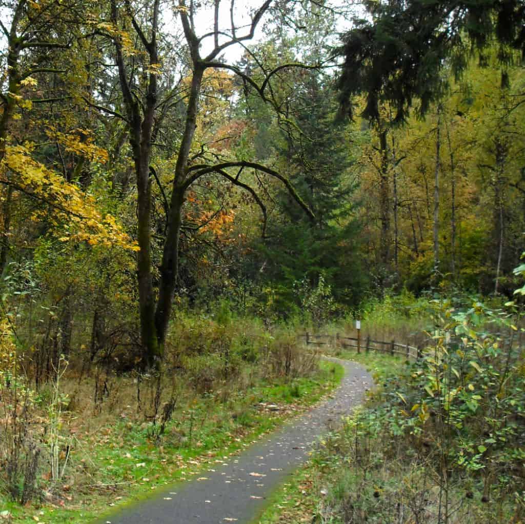 Springwater Corridor Trail - Portland