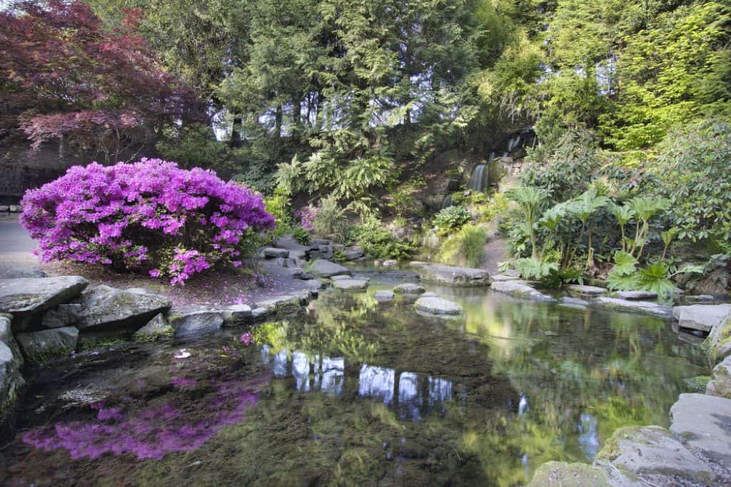 Crystal Springs Garden - Oregon