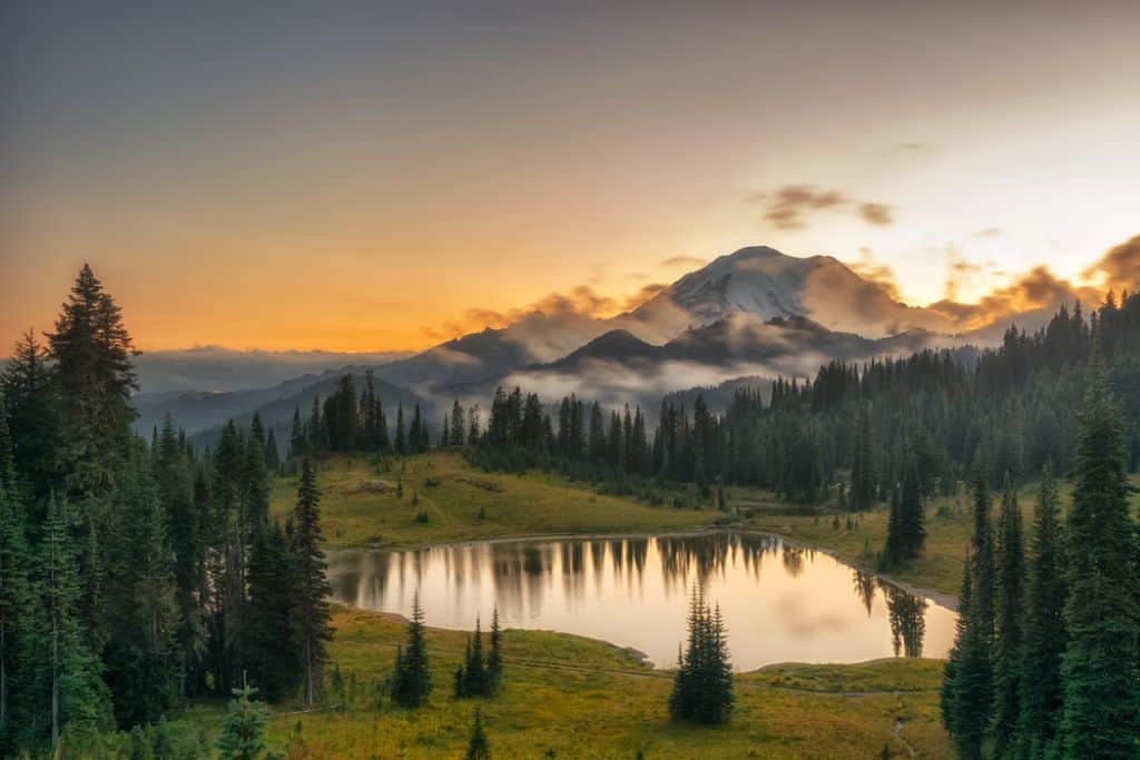 Mount Rainier National Park - Washington
