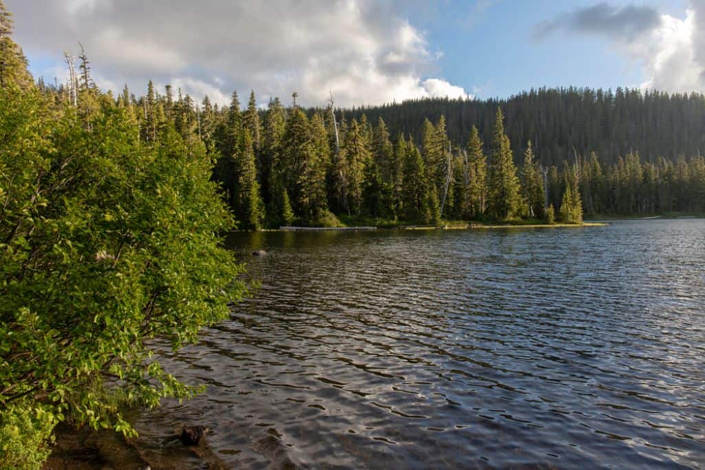 Reed Lake - Oregon
