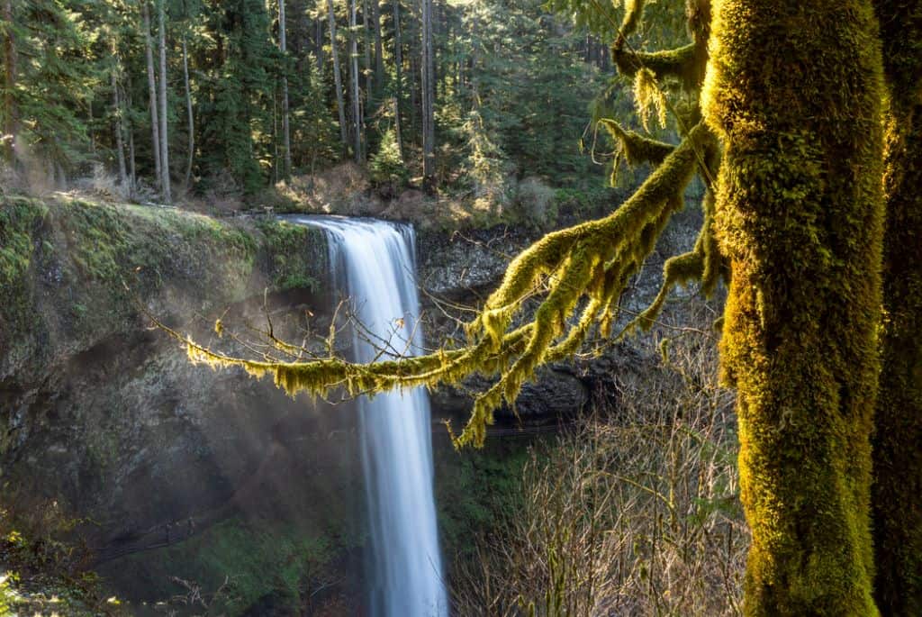 All-Inclusive Willamette Valley Waterfalls & Wine - Oregon