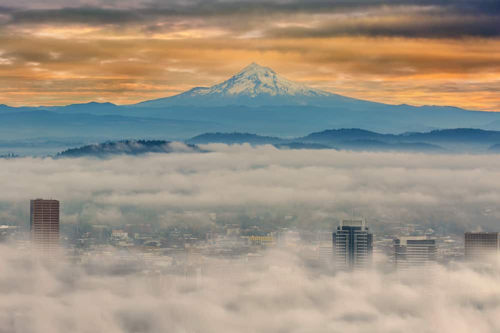 Best things to do in Portland in the winter