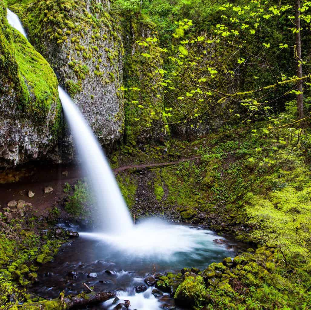 Horsetail Falls - Oregon