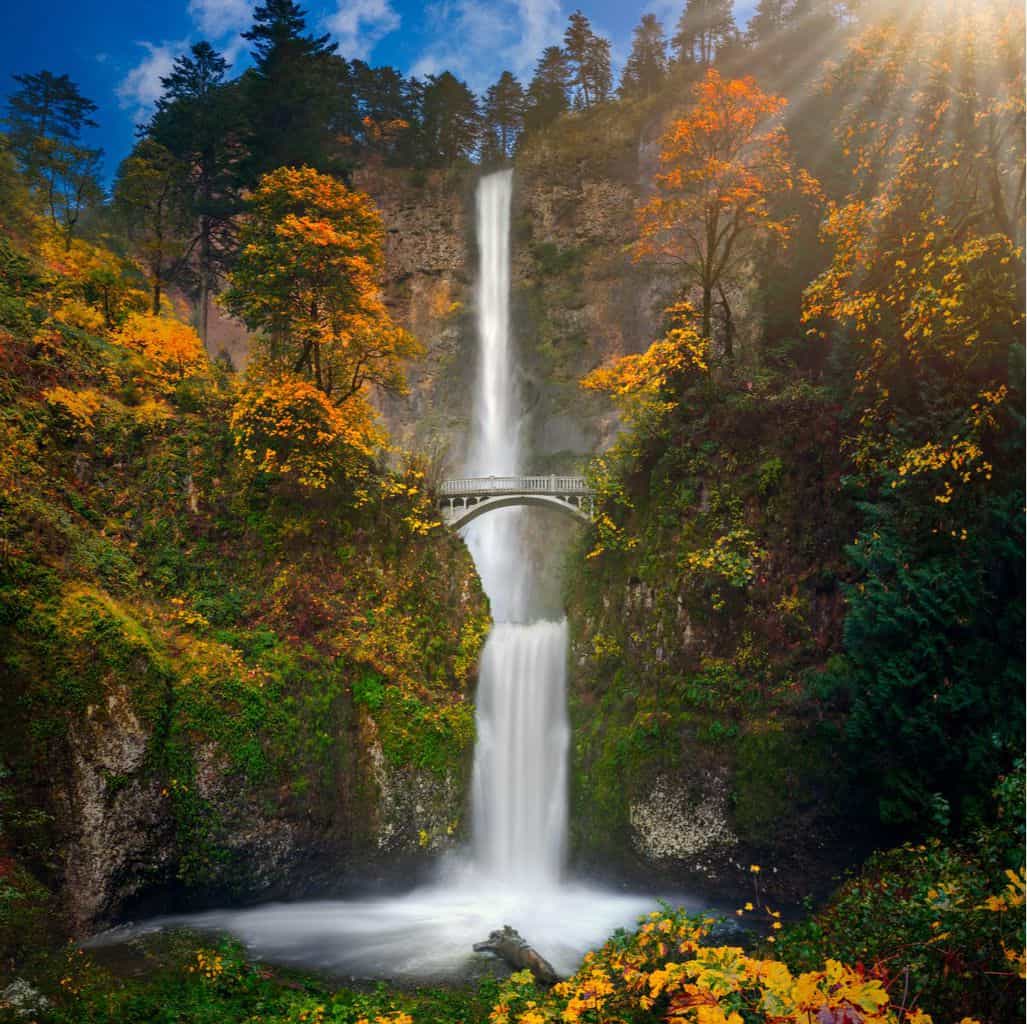 Multnomah Falls - Portland