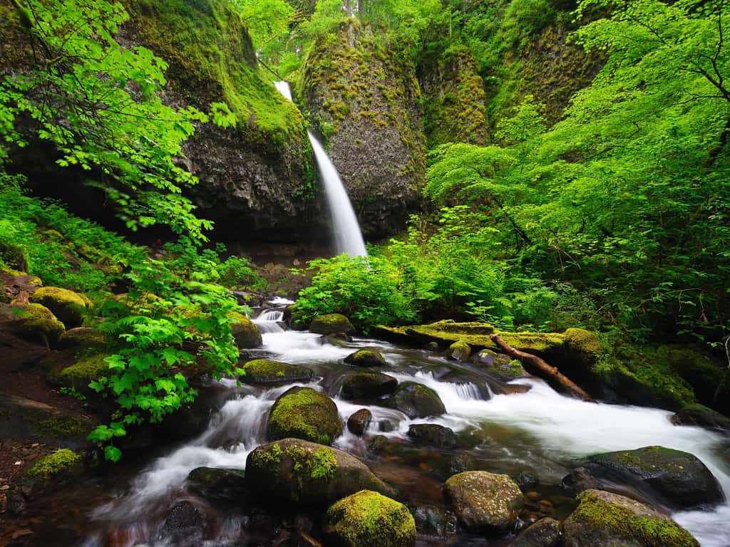 Ponytail Falls - Oregon