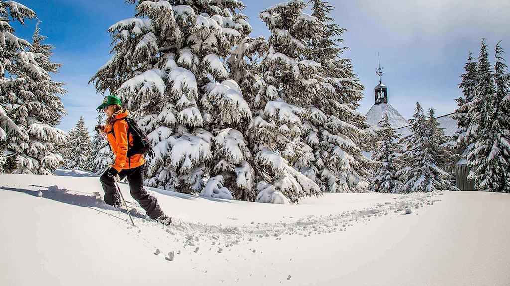 Snowshoeing at Timberline Lodge