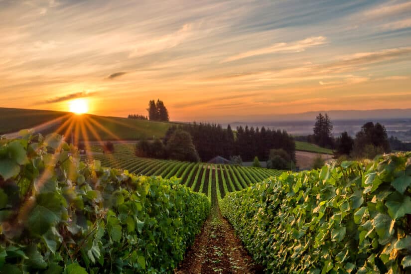 Top 10 Wine Tours near Portland