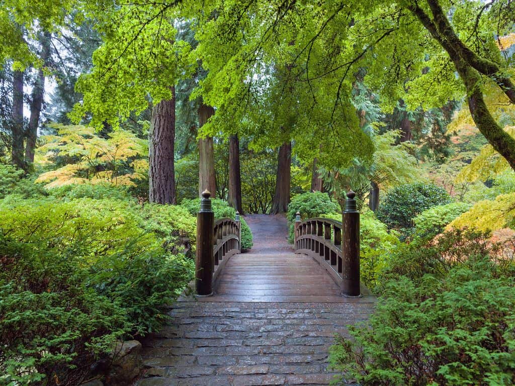 Portland Japanese Garden - Portland