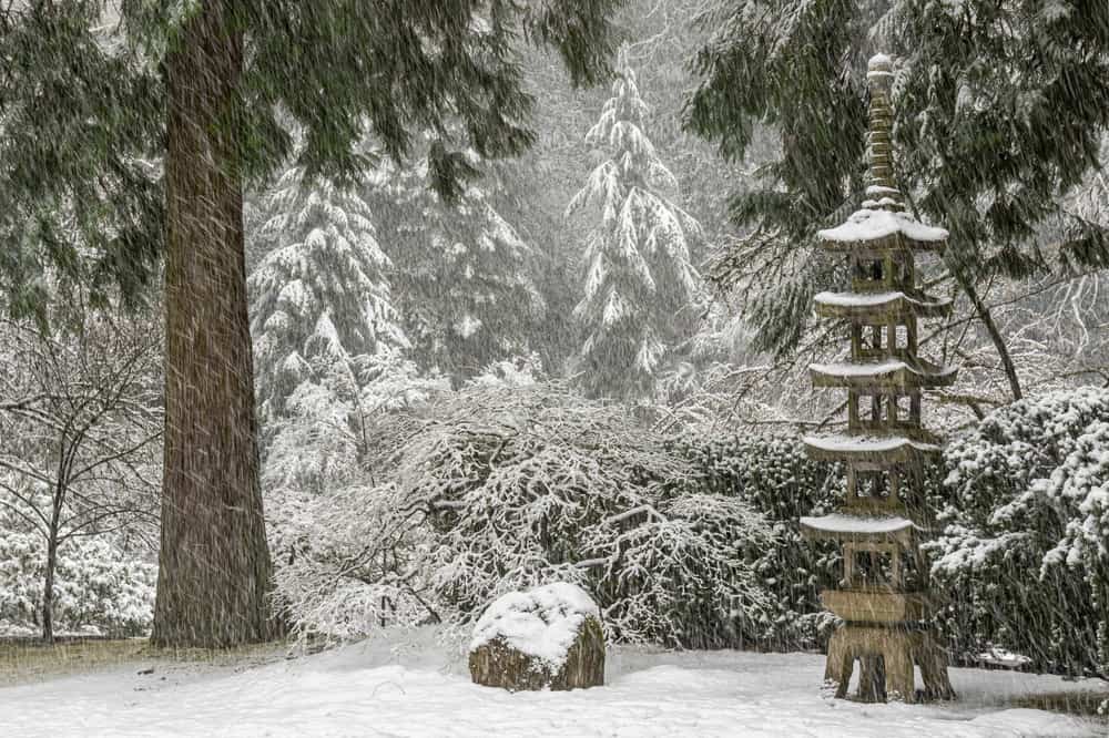 Snow in Portland Oregon