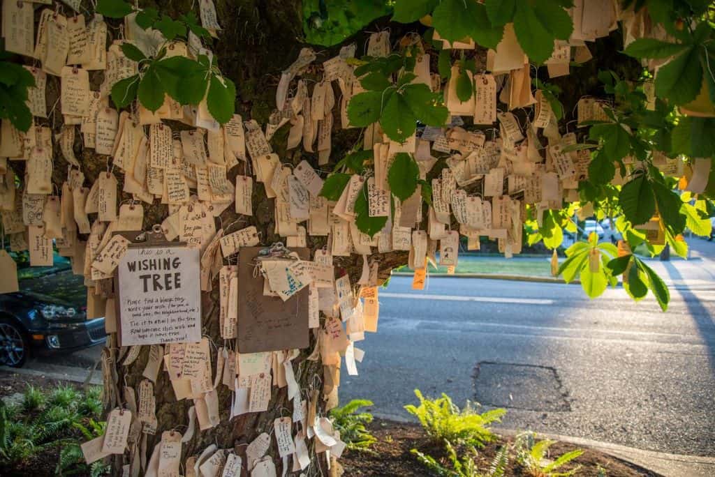 The Wishing Tree - Portland