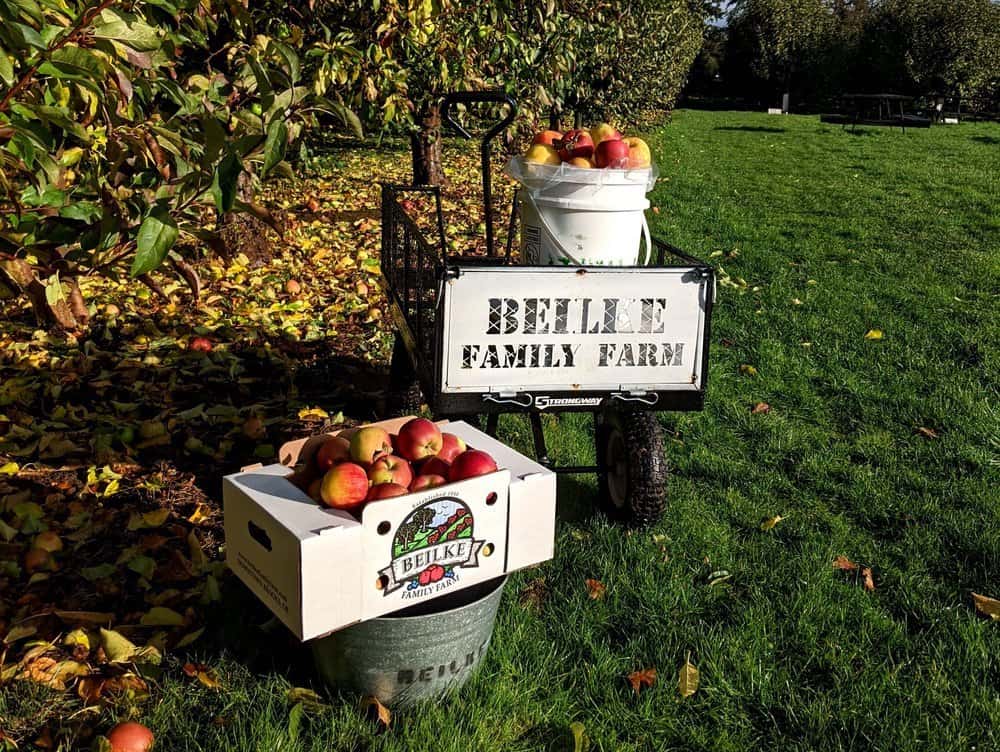 Beilke Family Farm for apple pickle in Portland