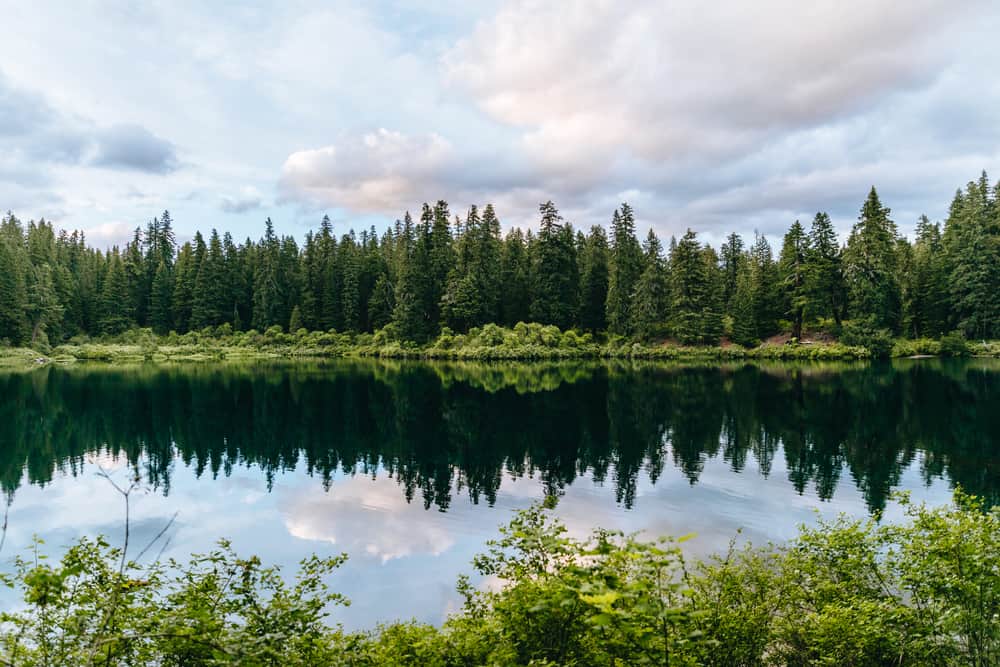 Clear Lake - a sparkling gem in the Willamette National Forest