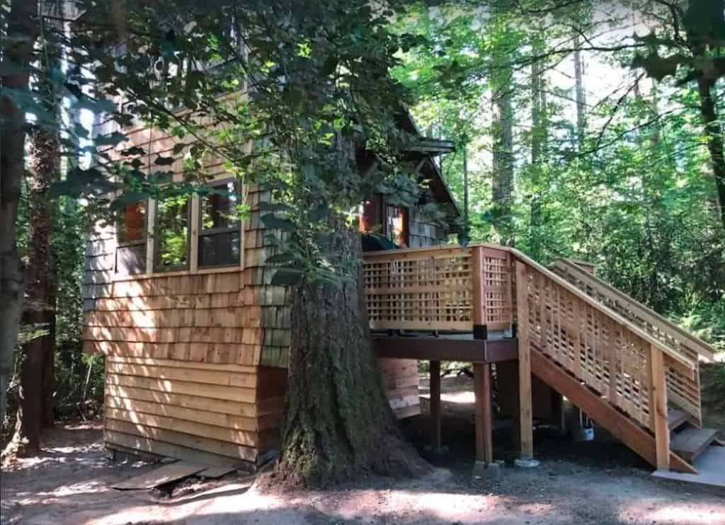 Private tiny Forest cabin near Portland and local wineries- Oregon