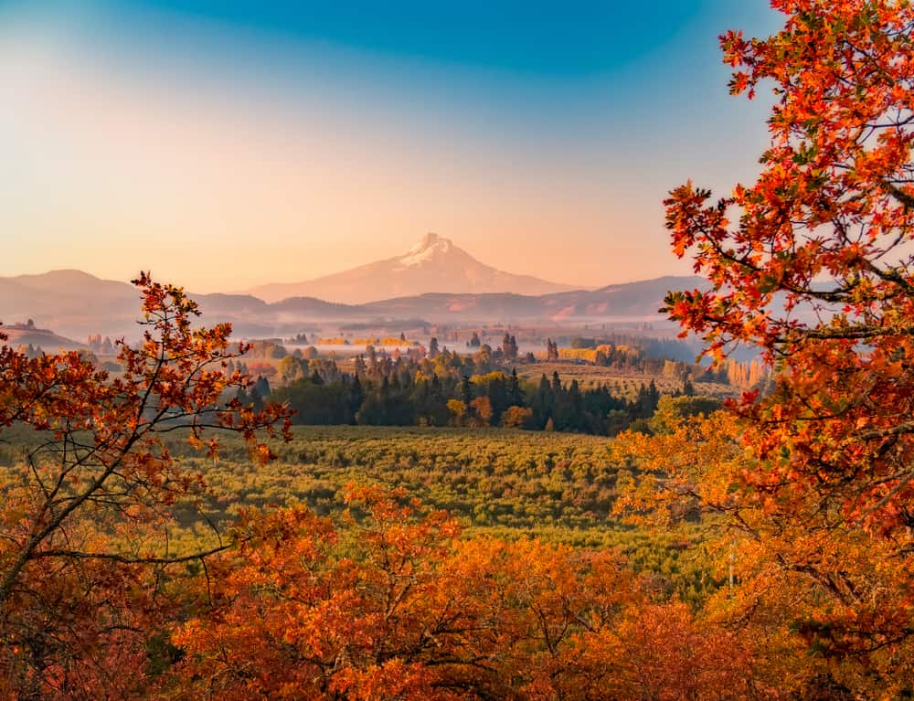 Things to do in Oregon in the Fall
