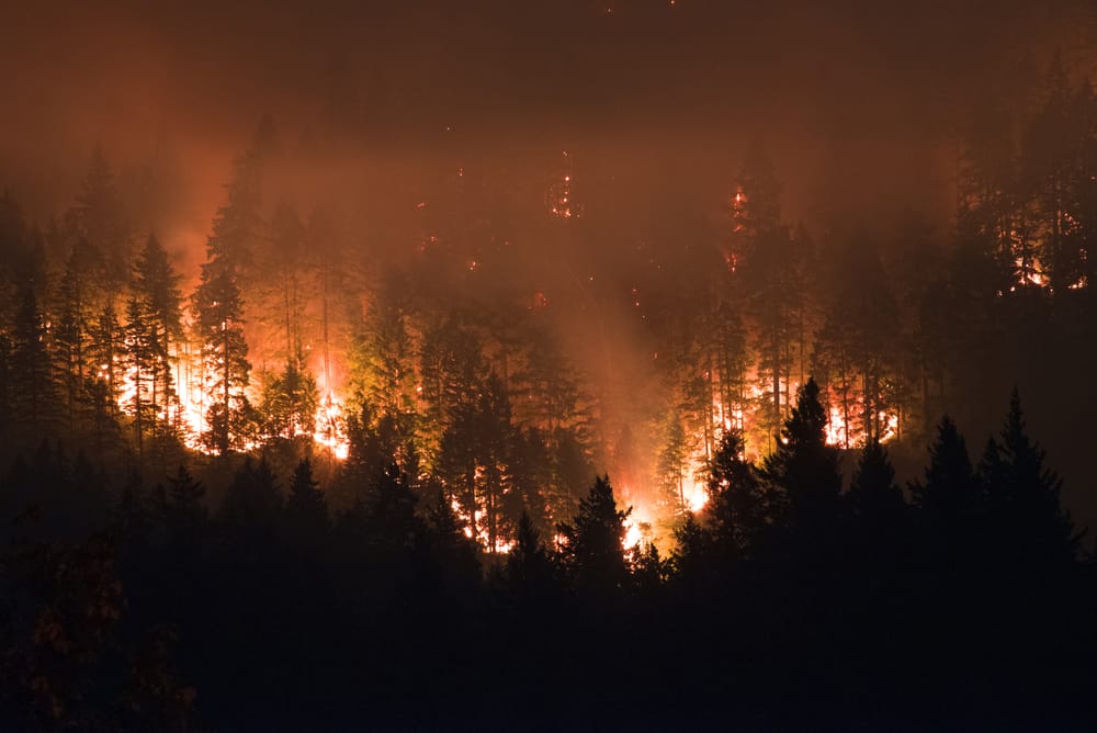 Wildfire Safety tips Portland 
