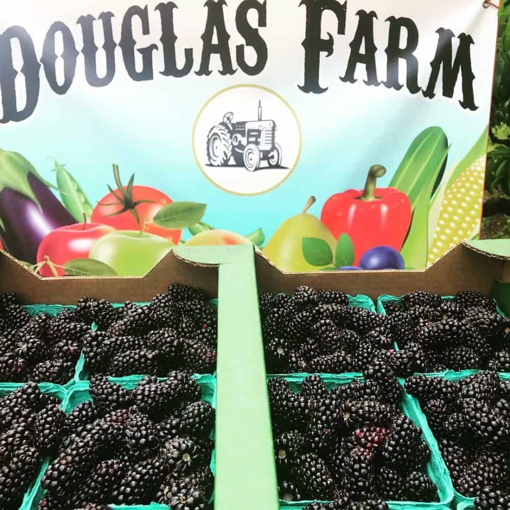 Douglas Farm - Portland