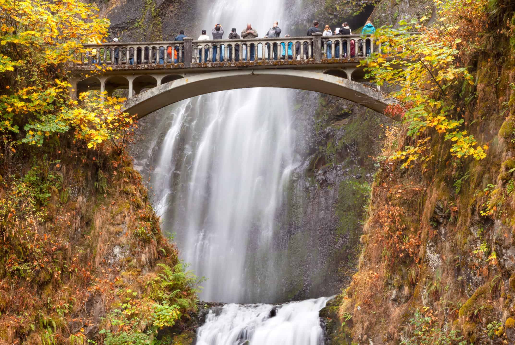 Columbia Gorge Waterfalls Tour