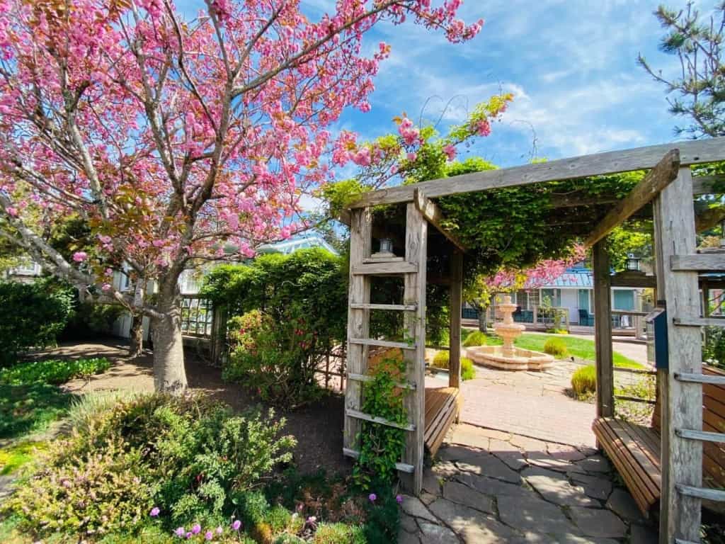 A beautiful lawn of Inn at Haystack Rock hotel at Oregon Coast