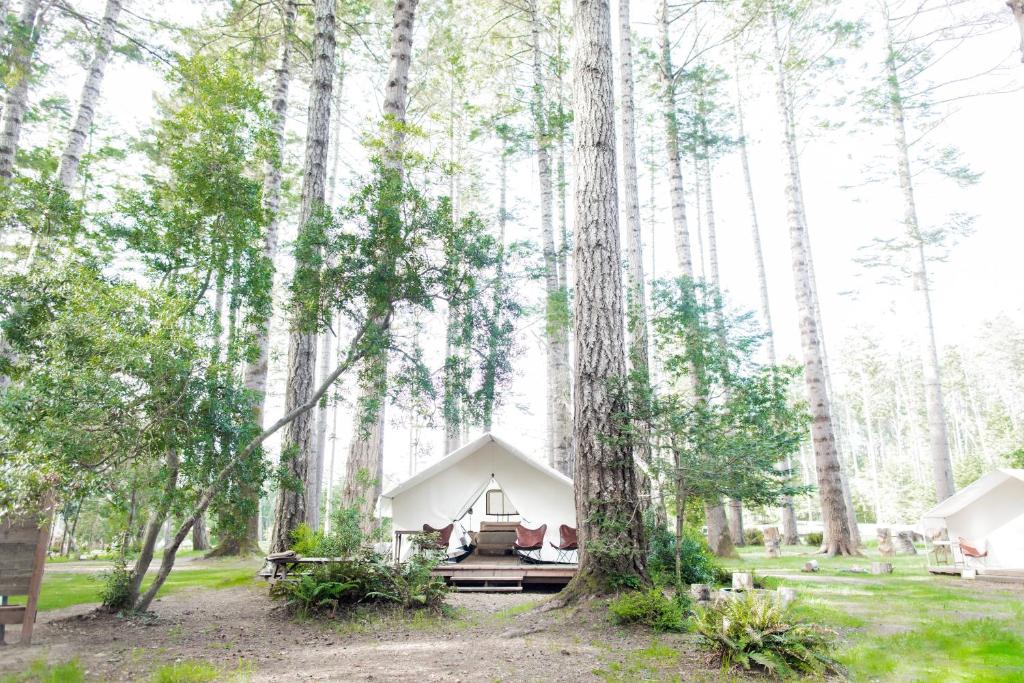 Cool camping accommodation - Mendocino Grove