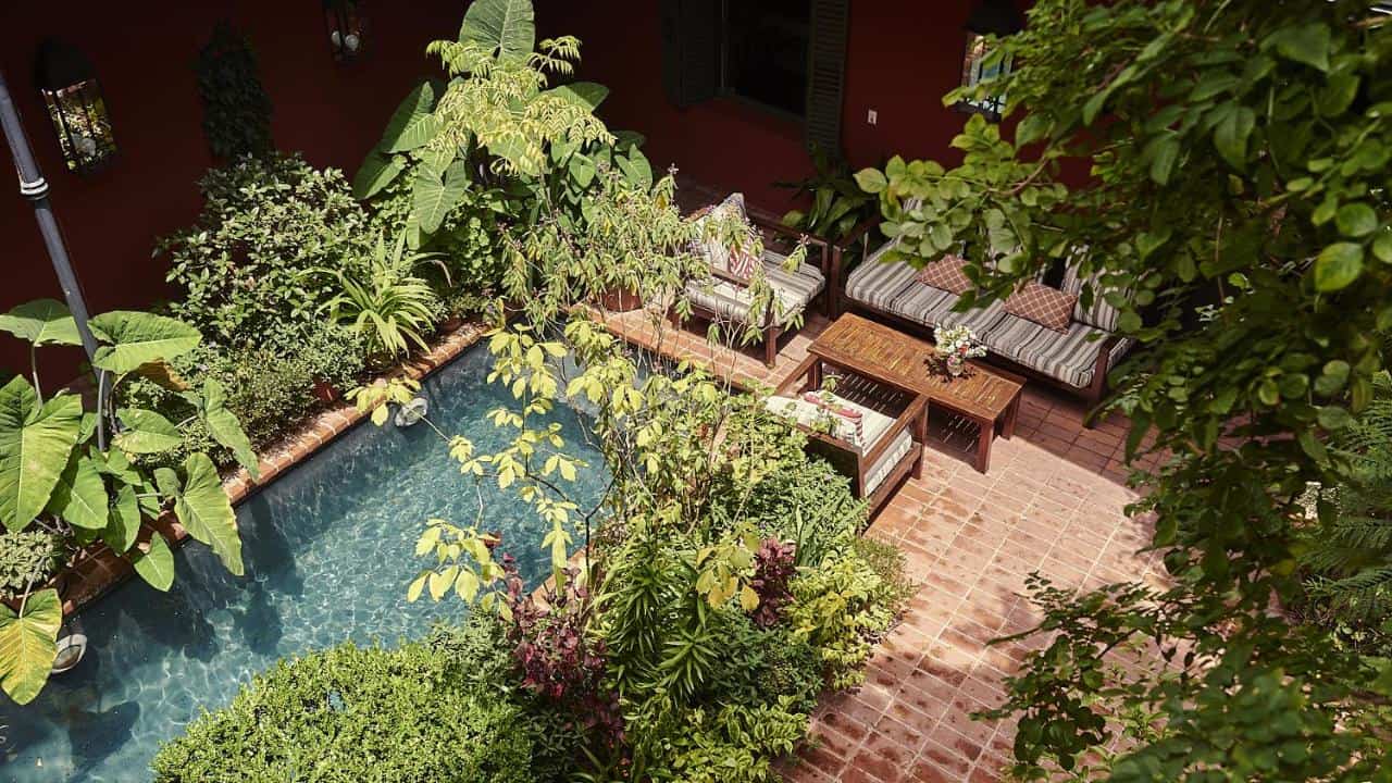 BE Jardin Escondido By Coppola - a lush green oasis